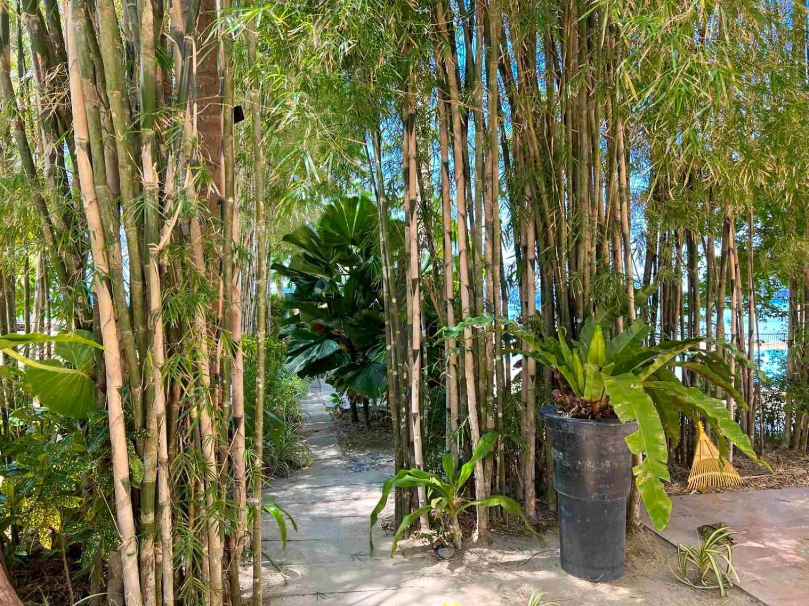 Doublegem Beach Resort And Hotel El Nido Exterior foto